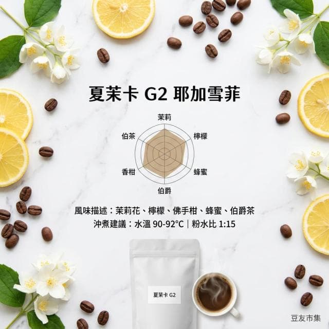夏茉卡G2 2026 必喝耶加雪菲