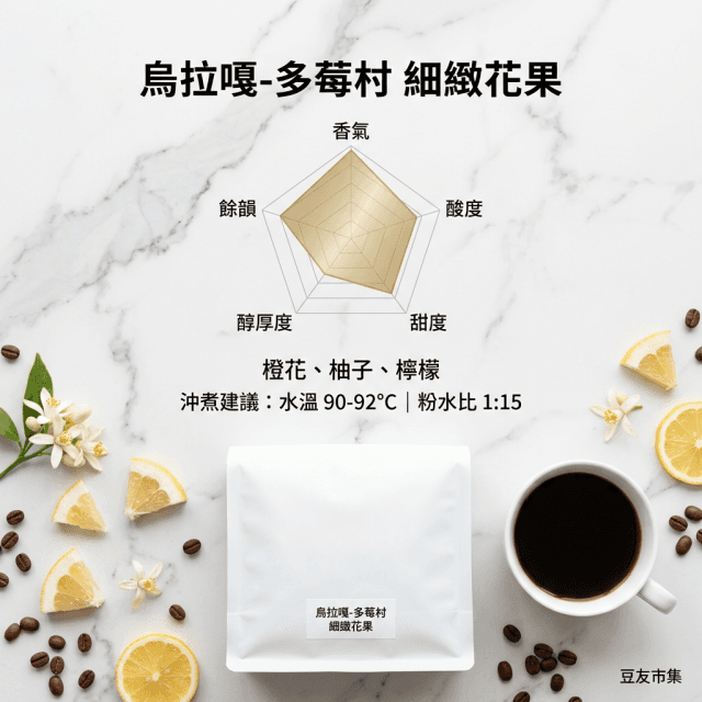 烏拉嘎-多莓村 衣索比亞古吉 細緻花果