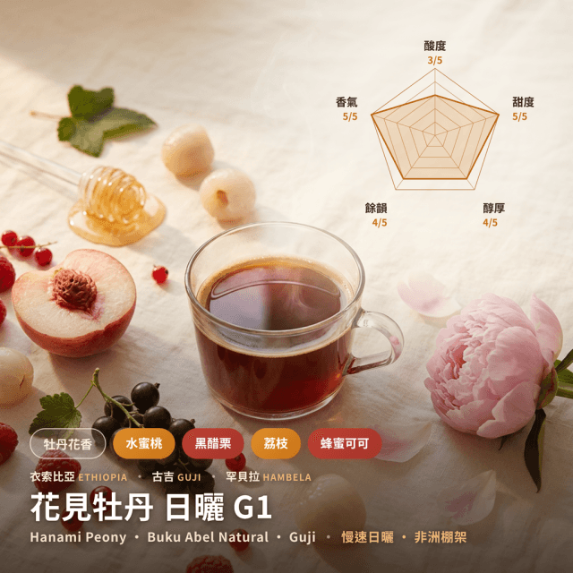 花見牡丹 日曬 G1 衣索比亞 古吉 布穀阿貝兒