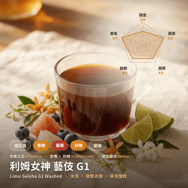 利姆女神藝伎 G1 水洗 吉瑪 衣索比亞