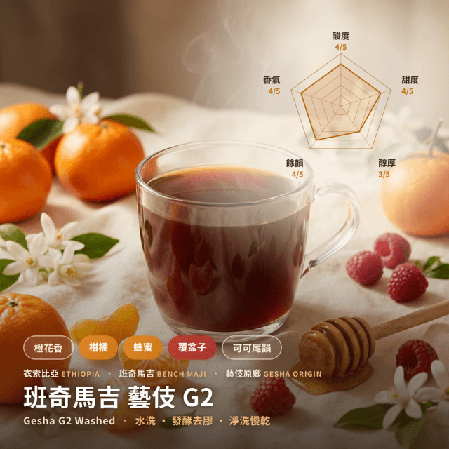 藝伎 G2 水洗 班奇馬吉 衣索比亞