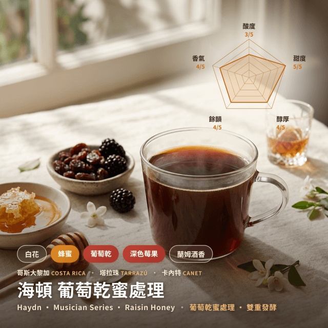 海頓 葡萄乾蜜處理 塔拉珠 哥斯大黎加