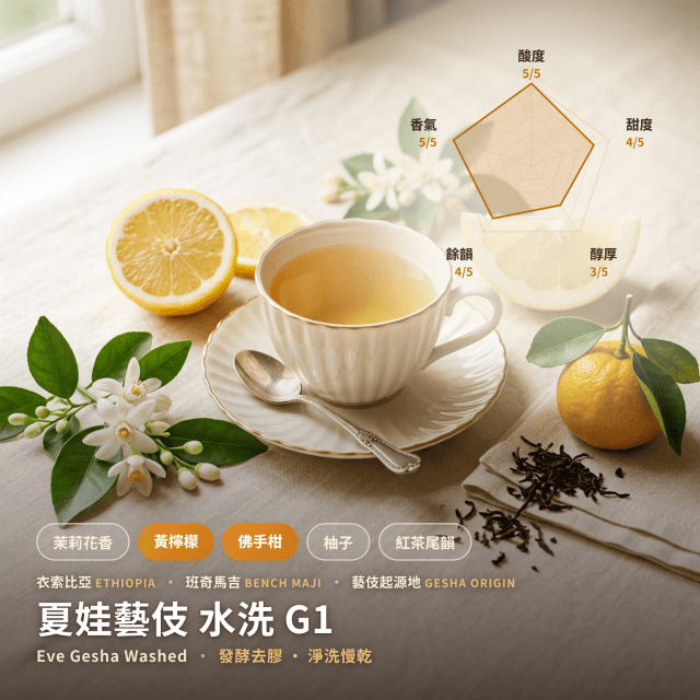 夏娃藝伎 水洗 G1 班奇馬吉