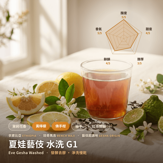 夏娃藝伎 水洗 G1 班奇馬吉