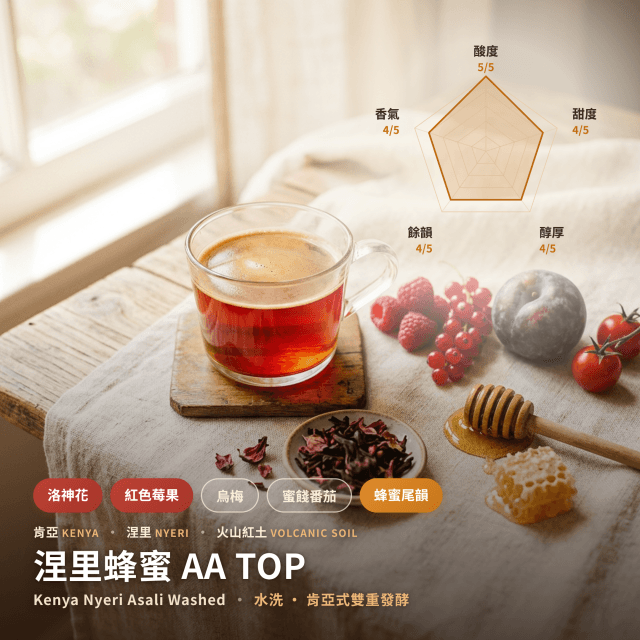 蜂蜜 AA TOP 水洗 肯亞