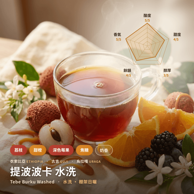提波波卡 G1 水洗 古吉 衣索比亞