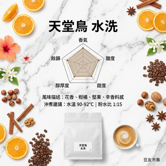 天堂鳥 水洗 新幾內亞